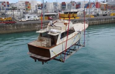 TNL Pindar