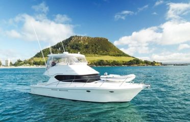 Tauranga Diesel Specialists